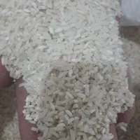 برنج طارم هاشمی