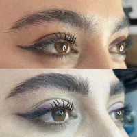 مدل فیری میکرو و شیدینگ