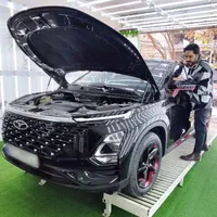 کارشناسی رنگ محسنی