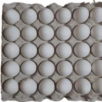 تخم مرغ شانه ای ۲۵۰