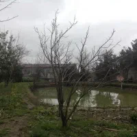 زمین با خانه روستایی نوساز