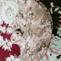 کلاه لبه دار