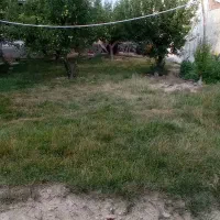 زمین باسندتک برگ وجوازساخت کلفور