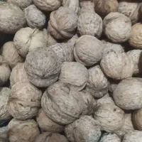 گردو استانه