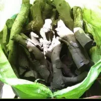 زغال کبابی|عمده‌فروشی|قم, خداکرم|دیوار