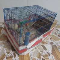 قفس پرنده با وسایل کامل