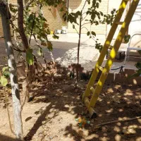 ویلایی ۲۲۵ متری شمالی شهرک پردیس|فروش خانه و ویلا|شاهینشهر, شهرک پردیس|دیوار