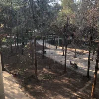 رهن مغازه فردوسی ۳۸ متر