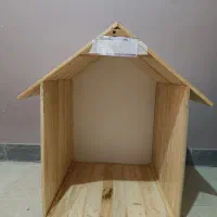 لانه سگ وگربه