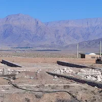۵۰۰ متر زمین سند دار مخصوص باغ