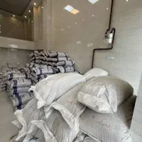غذای بچه کپور