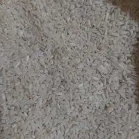 لاشه هاشمی