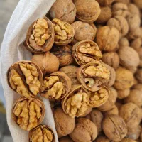 گردو درجه یک پوست کاغذی|خوردنی و آشامیدنی|شیراز, درکی|دیوار