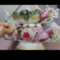 لمونژ  های زیبا