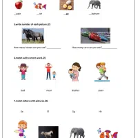 انجام دهنده خدمات دانشجویی / کافی نت آنلاین