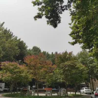 فروش-مغازه-87-متری-چهارباغ-خواجو