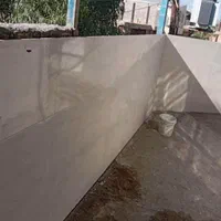 استاکار