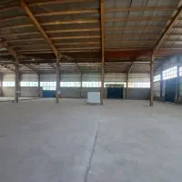 فروش کارخانه سلولزی درحال کار برند