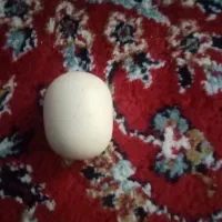 سنگ اسیاب