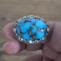 فیروزه شجری