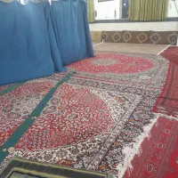 فرش|فرش|فاضل آباد, |دیوار
