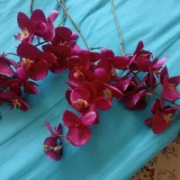 گل مصنوعی|گل مصنوعی|مشهد, الهیه|دیوار