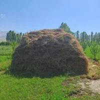 فروش علوفه