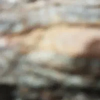 خط رند همراه اول09179020035
