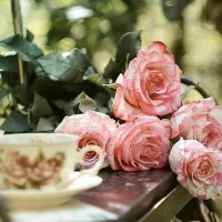 راهنمایی مشکل زناشویی