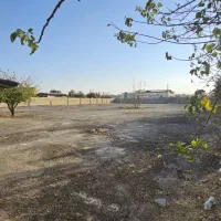 اجاره-4دیواری-5000-متر-برق-32-کف-سازی-شده-باغستان