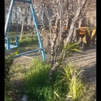 اجاره ویلا باغ استخر دار