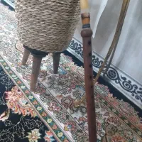نرمه نای درجه یک|سازهای بادی|کامیاران, |دیوار