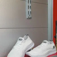 فقط 190 تومن|کیف، کفش، کمربند|اهر, |دیوار