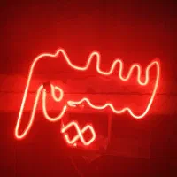 چراغ نئون سیم پیچی به همراه ترانس