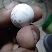 سنگ الماس اسیاب اصلی