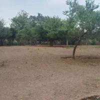 فروش زمین مسکونی در گیلان