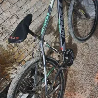 دوچرخه|دوچرخه، اسکیت، اسکوتر|باوی, |دیوار