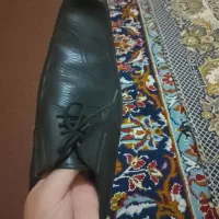 یه جفت کفش چرم|کیف، کفش، کمربند|کرمان, |دیوار