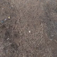 کود گوسفندی|گل و گیاه طبیعی|جیرفت, |دیوار