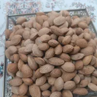 بادام درختی کاملاً ارگانیک منطقه کوهسرخ 580