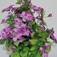 اجاره سوئیت ۳۵ متری مبله،