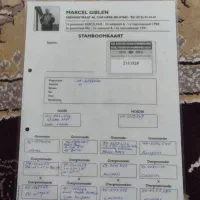 ماده بلژیک شناسامدارمولد|پرنده|رامهرمز, |دیوار