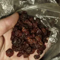 برنج طارم معطر گرگان کشمش پلویی کیلویی ۱۵۰|خوردنی و آشامیدنی|تهران, خاوران|دیوار