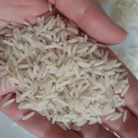 برنج طارم محلی اعلا|خوردنی و آشامیدنی|کرج, شهرک فهمیده|دیوار