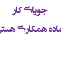 جویای کار