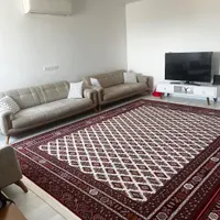 فرش هزارشانه بازوبندی|فرش|آق قلا, |دیوار