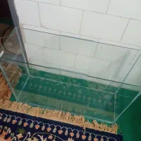 اکواریم نو بزرگ طول 70ارتفاع 40|ماهی|یزد, |دیوار