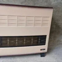 بخاری نیکالا