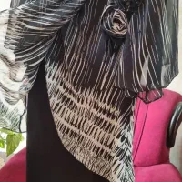 لباس مجلسی|لباس|گرگان, |دیوار