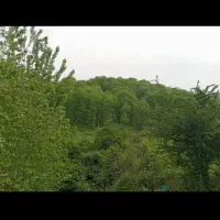 اجاره روزانه/هفتگی/ماهانه ویلا ۱۲۰ متری|اجارهٔ کوتاه‌مدت ویلا و باغ|ماسال, |دیوار